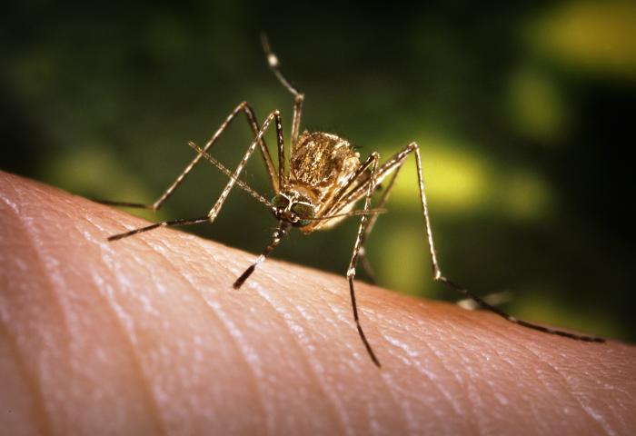 2022 Centre County West Nile Virus Surveillance and Control season